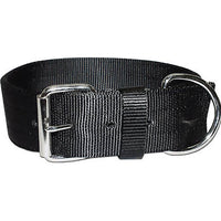 Bravo 2 Ply Nylon Dog Collar