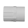 Charlotte Pipe Schedule 40 1 in. Slip x 1 in. Dia. FPT PVC Pipe Adapter (Pack of 25)