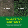 Scotts Turf Builder Rapid Grass Tall Fescue Grass Sun or Shade Grass Seed and Fertilizer 16 lb