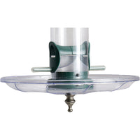 Fancy Swirl Seed Tray