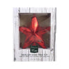 Celebrations Christmas Star Tree Topper Assorted Plastic 8.5 inch 1 pk (Pack of 6)