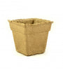 Plantable Pots, Square, 3-In., 12-Pk.
