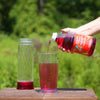 More Birds Hummingbird Vitamins and Minerals Nectar Concentrate 32 oz