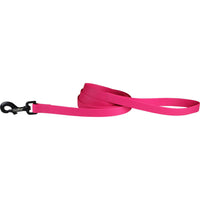 Carnival Biothane Dog Lead