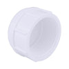 Genova Products 30165 1/2" PVC Sch. 40 Threaded Caps (Pack of 10)