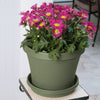 Bloem TerraPot 10.7 in. H X 12 in. D Resin Planter Living Green