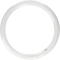 Satco S6503 4100K 32-Watt 4 Pin T9 Circline Lamp, Cool White