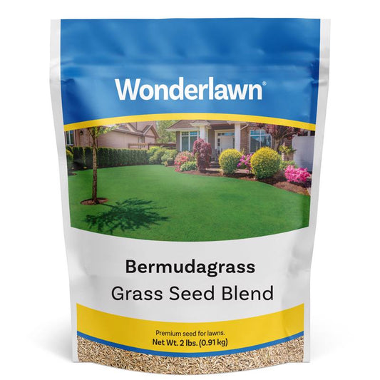 Barenbrug Wonderlawn Bermuda Grass Full Sun Grass Seed 2 lb