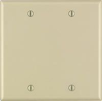 Leviton Ivory 2 gang Thermoset Plastic Blank Wall Plate 1 pk - Deal of The Week