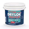 Drylok Fast Plug Hydraulic & Anchoring Cement 10 lb Gray (Pack of 2)