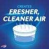 DampRid Moisture Absorber Fresh Scent 2 lb (Pack of 2)