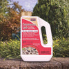 Bonide Dust Insect Killer 1.3 lb (Pack of 12)