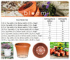 Bloem Terra 8.25 in. H X 7.5 in. W X 10.75 in. D Resin Traditional Planter Terracotta Clay - Deal of The Week