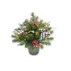 Celebrations 1-1/2 ft. Pine and Berries Urn Filler 1 pk (Pack of 8)