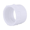 Charlotte Pipe Schedule 40 2 in. Hub X 2 in. D FPT PVC Pipe Adapter 1 pk