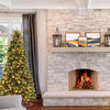 Celebrations 7-1/2 ft. Full LED 800 ct Grand Illum Color Changing Christmas Tree