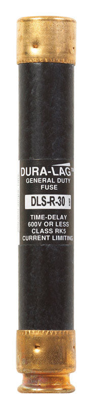 Bussmann 30 amps Dual Element Time Delay Fuse 1 each