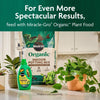Miracle-Gro Organic Indoor Plant Potting Mix 16 qt - Deal of The Week