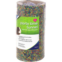 Party Time Tunnel