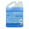 Wet & Forget Outdoor Cleaner Concentrate 1 gal