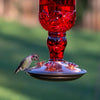 Perky-Pet Hummingbird 24 oz. Glass Nectar Feeder 4 ports (Pack of 2)
