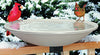 Allied Precision 650 20" X 2"  150 Watt Heated Bird Bath