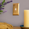 Amerelle Century Satin Brass 2 gang Stamped Steel Toggle Wall Plate 1 pk - Open Box