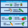 BioAdvanced Ready-to-Use, Tomato & Vegetable Insect Killer Spray 24 oz