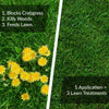GreenView Fairway Formula Weed & Crabgrass Lawn Fertilizer For All Grasses 4000 sq ft