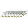 Senco 15 ga. Plastic Strip 20 Deg. Ring Shank Round Head Steel Framing Nails 2-3/8 L x 0.11 Dia. in.