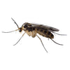 Summit Chemical Mosquito Barrier Liquid Insecticide 32 oz. (Pack of 6)