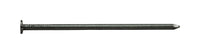 Pro-Fit 2-1/4 in. Box Bright Steel Nail Flat Head 1 lb