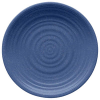DINNER PLATE BLUE 10.5 inchD (A)