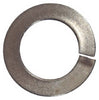 Hillman 1/2 in. D Stainless Steel Split Lock Washer 50 pk