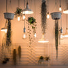 Feit T10 E26 (Medium) Filament LED Bulb Smoke Daylight 25 Watt Equivalence 1 pk
