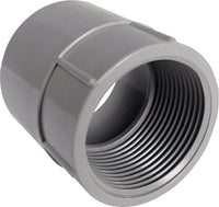 Cantex 2 in. D PVC Female Adapter For PVC 1 pk (Pack of 5)