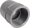 Cantex 2 in. D PVC Female Adapter For PVC 1 pk (Pack of 5)