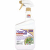 Bonide Neem Oil Odorless Insect/Disease & Mite Control 32 oz. (Pack of 12)