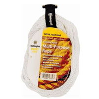 Wellington 1/4 in. D X 100 ft. L White Twisted Nylon Rope