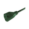 Projex Indoor or Outdoor 80 ft. L Green Extension Cord 16/3