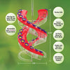 Cascade Dna Hummingbird Feeder, Red, 23.5 oz. - Deal of The Week