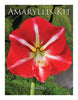 Degroot Gift Box Bulb Kit (Pack of 12)