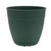 Bloem Dayton 7.5 in. H X 8 in. D Plastic Planter Turtle Green - Deal of The Week