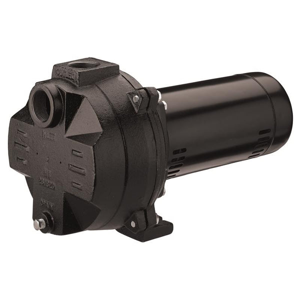 Bomba de pozo de riego de hierro fundido Flotec de 1-1/2 HP y 2400 gph