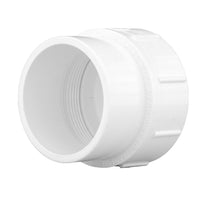Charlotte Pipe Schedule 40 2 in. Spigot X 2 in. D FPT PVC Pipe Adapter 1 pk