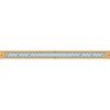 Simpson Strongtie 37 in. H X 2.06 in. W 12 Ga. Galvanized Steel Strap