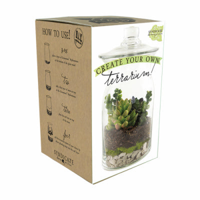 Syndicate Home & Garden Glass Terrarium Clear (Pack of 6)