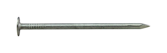 Pro-Fit 2 in. Roofing Electro-Galvanized Nail Large Head 5 lb
