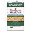 Thompson's Waterseal Clear Oil-Based Low VOC Waterproofer Wood Protector 1.2 gal. (Pack of 4)