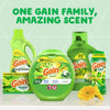 Gain Original Scent Laundry Detergent Liquid 154 fl. oz. 1 pk (Pack of 4)